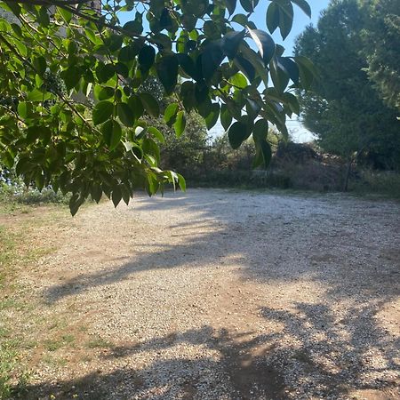 Bed and Breakfast Albarosa à Ruvo di Puglia Extérieur photo