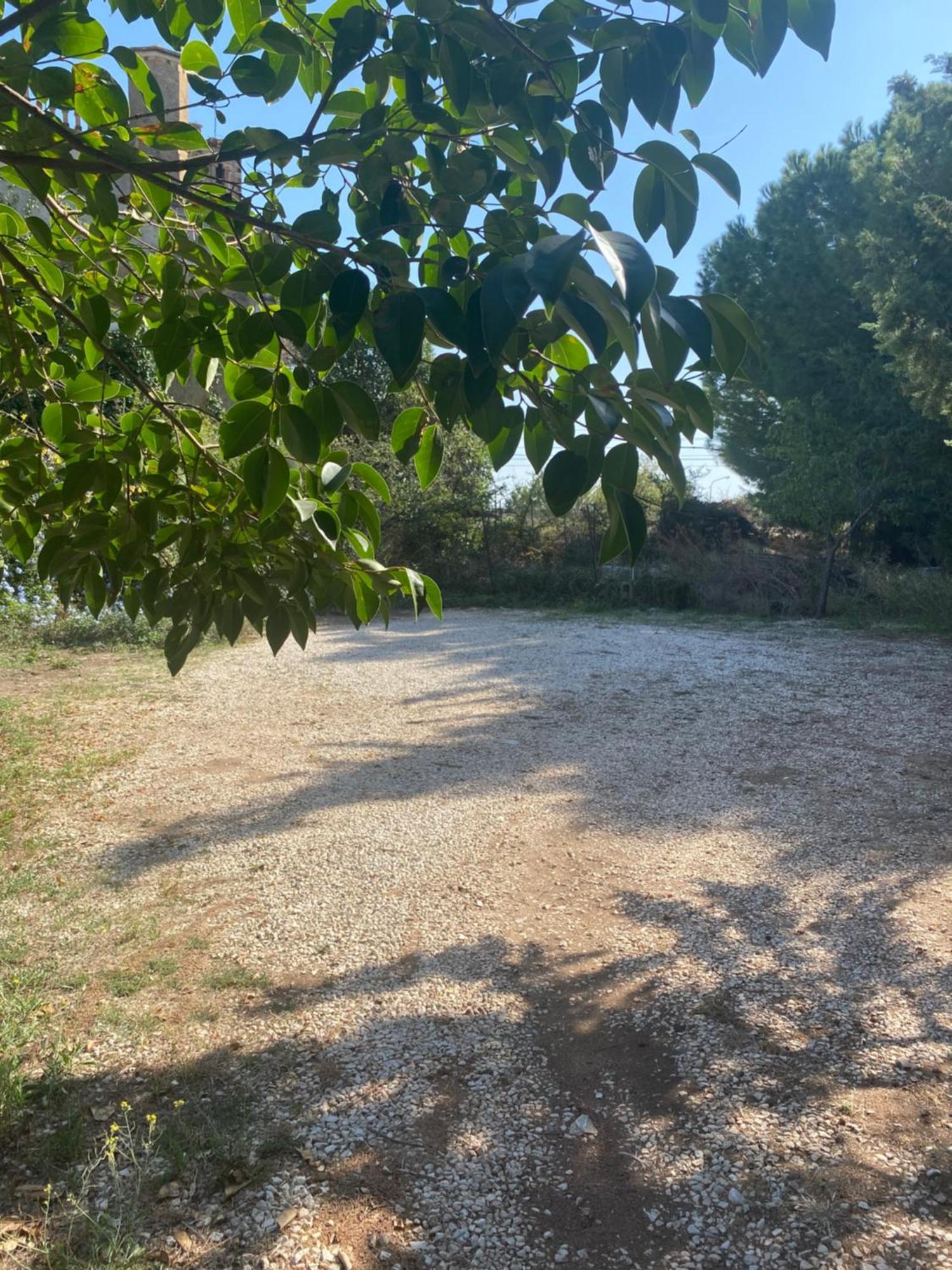 Bed and Breakfast Albarosa à Ruvo di Puglia Extérieur photo