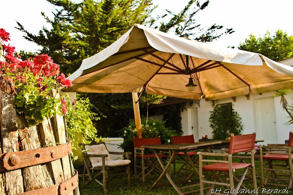 Bed and Breakfast Albarosa à Ruvo di Puglia Extérieur photo