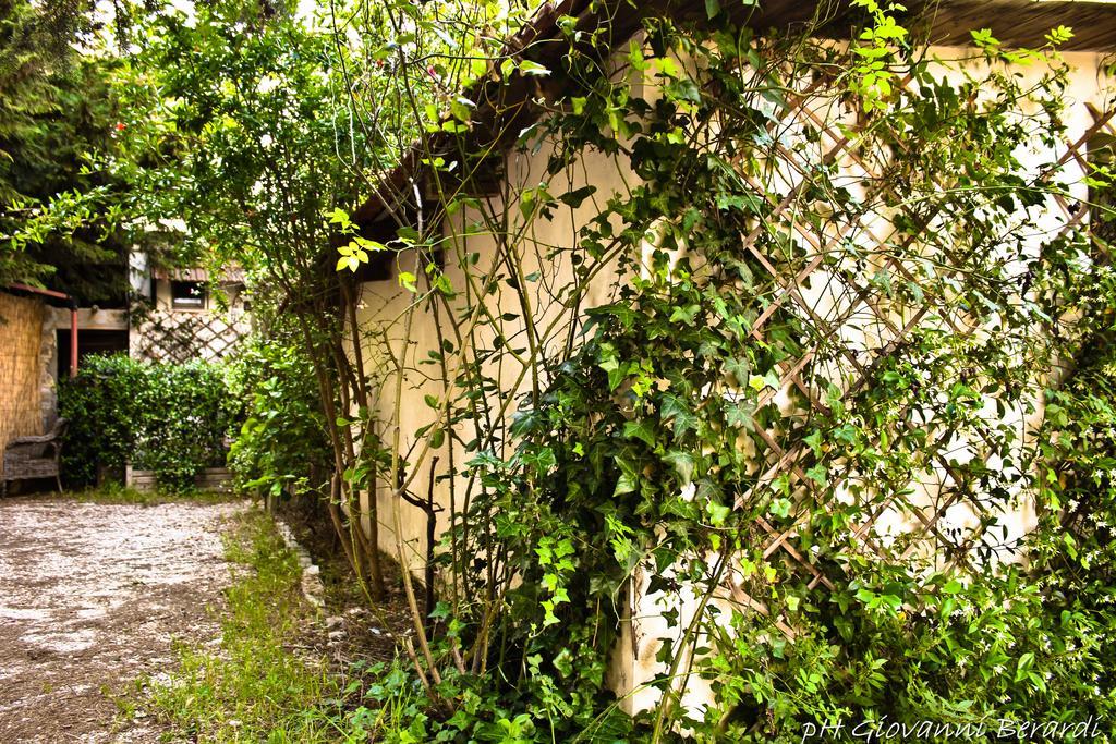 Bed and Breakfast Albarosa à Ruvo di Puglia Extérieur photo