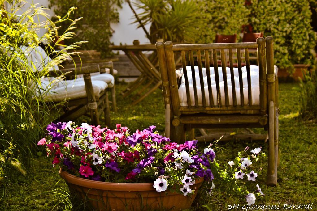 Bed and Breakfast Albarosa à Ruvo di Puglia Extérieur photo